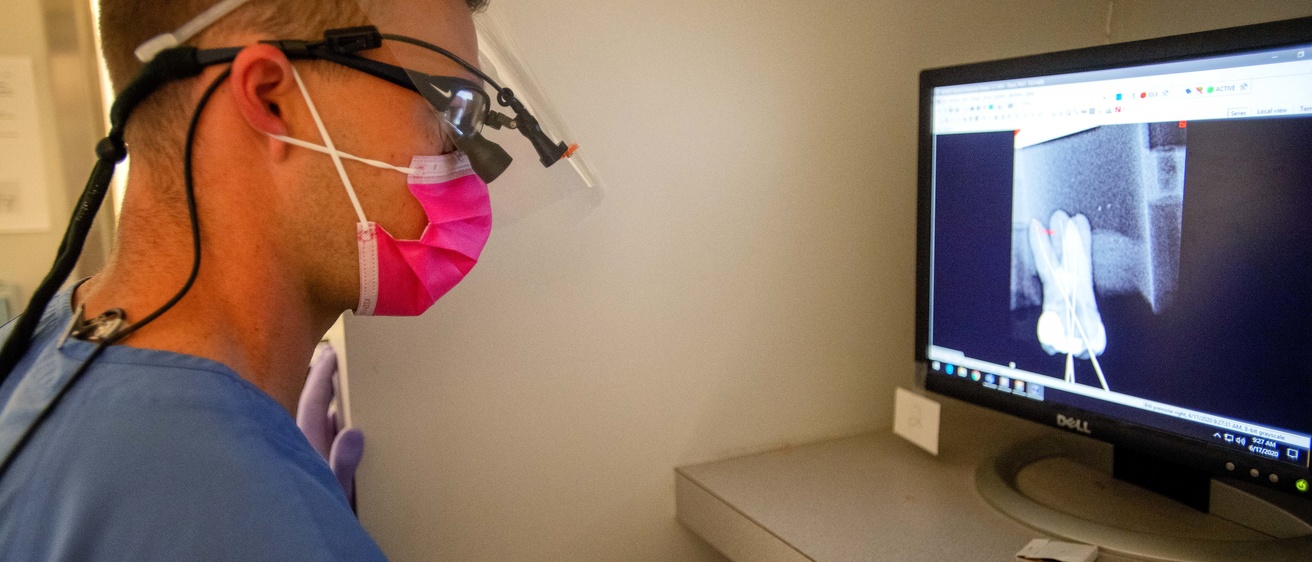Dentist Examining an x-ray
