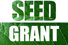 Seed Grant